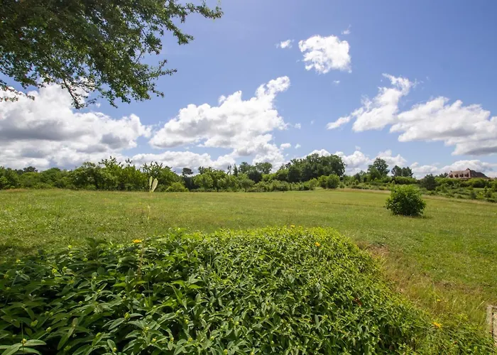 Maison Campagnarde Avec Piscine Et Cheminee, Perigord Noir - Fr-1-616-395 * Thenon